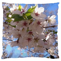 Sakura Large Cushion Case (two Sided) 