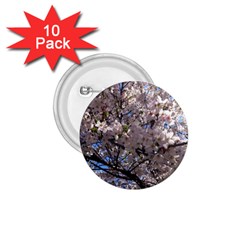 Sakura Tree 1 75  Button (10 Pack) by DmitrysTravels