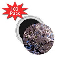 Sakura Tree 1 75  Button Magnet (100 Pack) by DmitrysTravels