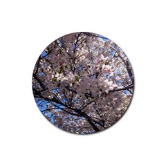 Sakura Tree Drink Coaster (round) by DmitrysTravels