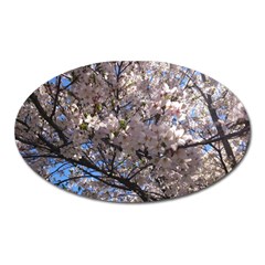 Sakura Tree Magnet (oval)