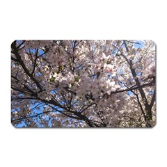 Sakura Tree Magnet (rectangular) by DmitrysTravels