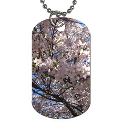 Sakura Tree Dog Tag (one Sided) by DmitrysTravels