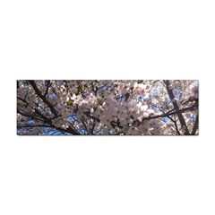 Sakura Tree Bumper Sticker 100 Pack by DmitrysTravels