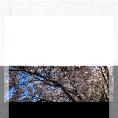 Sakura Tree Jigsaw Puzzle (rectangle) by DmitrysTravels