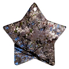 Sakura Tree Star Ornament (two Sides)