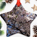 Sakura Tree Star Ornament (Two Sides) Front