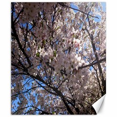 Sakura Tree Canvas 8  X 10  (unframed)