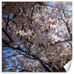 Sakura Tree Canvas 20  X 20  (unframed) by DmitrysTravels