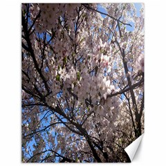 Sakura Tree Canvas 18  X 24  (unframed) by DmitrysTravels