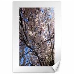 Sakura Tree Canvas 24  X 36  (unframed)