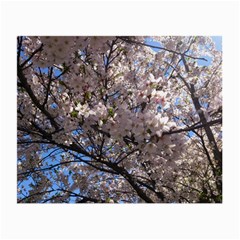 Sakura Tree Glasses Cloth (small, Two Sided) by DmitrysTravels