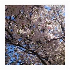 Sakura Tree Glasses Cloth (medium, Two Sided) by DmitrysTravels