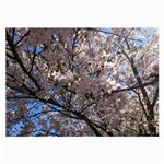 Sakura Tree Glasses Cloth (Large) Front