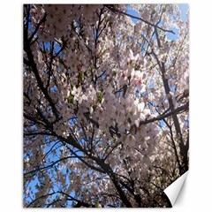 Sakura Tree Canvas 11  X 14  (unframed) by DmitrysTravels