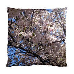 Sakura Tree Cushion Case (two Sided)  by DmitrysTravels