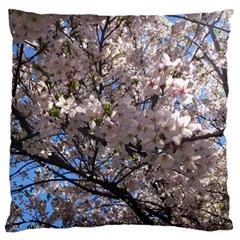 Sakura Tree Large Cushion Case (single Sided)  by DmitrysTravels