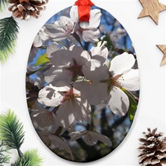 Cherry Blossoms Oval Ornament