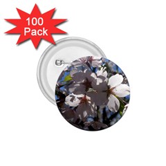 Cherry Blossoms 1 75  Button (100 Pack) by DmitrysTravels