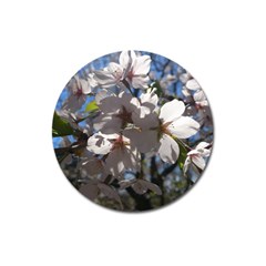 Cherry Blossoms Magnet 3  (round) by DmitrysTravels