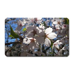 Cherry Blossoms Magnet (rectangular) by DmitrysTravels