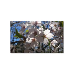 Cherry Blossoms Sticker 10 Pack (rectangle) by DmitrysTravels