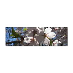 Cherry Blossoms Bumper Sticker 100 Pack by DmitrysTravels