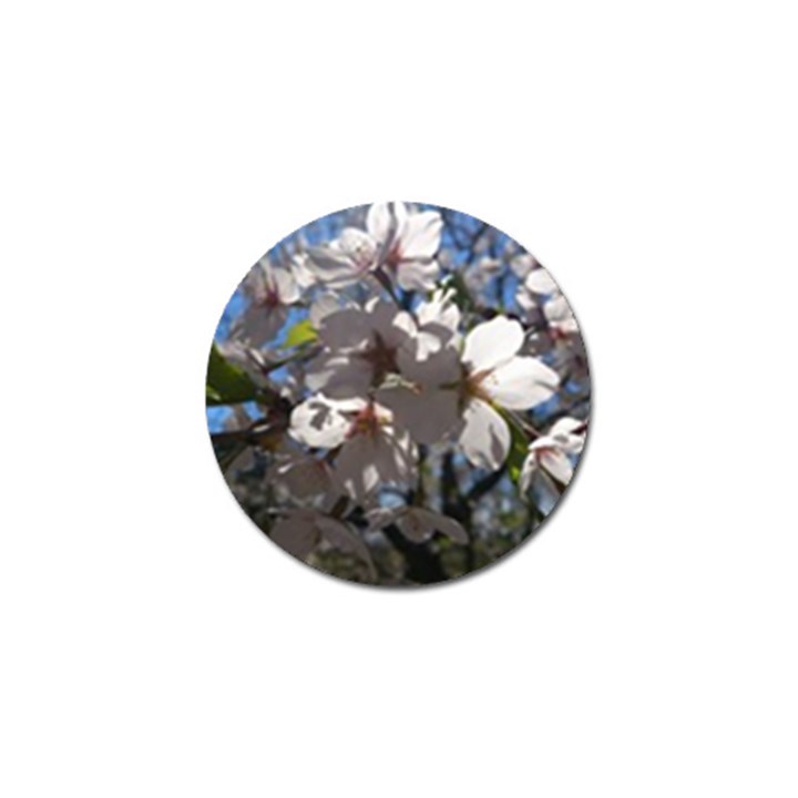 Cherry Blossoms Golf Ball Marker 10 Pack