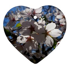 Cherry Blossoms Heart Ornament (two Sides)