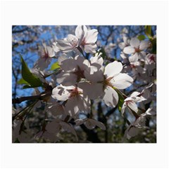 Cherry Blossoms Glasses Cloth (small, Two Sided) by DmitrysTravels