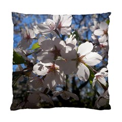 Cherry Blossoms Cushion Case (single Sided) 