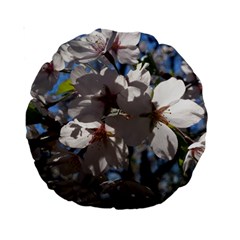 Cherry Blossoms 15  Premium Round Cushion 