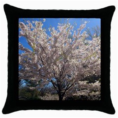 Cherry Blossoms Tree Black Throw Pillow Case