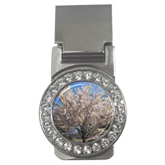 Cherry Blossoms Tree Money Clip (cz)