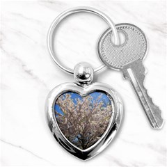 Cherry Blossoms Tree Key Chain (heart) by DmitrysTravels