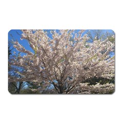 Cherry Blossoms Tree Magnet (rectangular) by DmitrysTravels