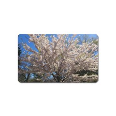 Cherry Blossoms Tree Magnet (name Card)