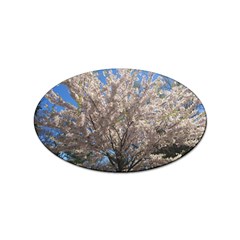 Cherry Blossoms Tree Sticker 10 Pack (oval) by DmitrysTravels