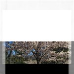 Cherry Blossoms Tree Jigsaw Puzzle (Rectangle) Front