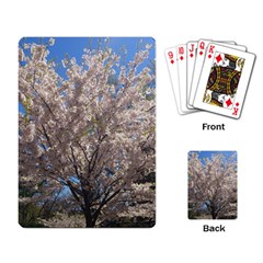 Cherry Blossoms Tree Playing Cards Single Design by DmitrysTravels