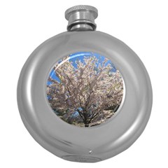 Cherry Blossoms Tree Hip Flask (round) by DmitrysTravels