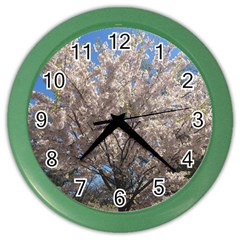 Cherry Blossoms Tree Wall Clock (color) by DmitrysTravels