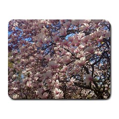 Sakura Small Mouse Pad (rectangle) by DmitrysTravels