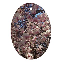 Sakura Oval Ornament