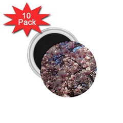 Sakura 1 75  Button Magnet (10 Pack) by DmitrysTravels