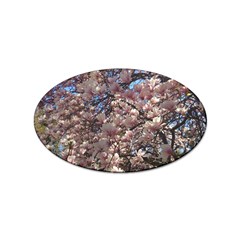 Sakura Sticker (oval)