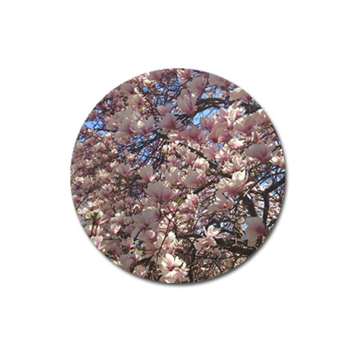 Sakura Magnet 3  (Round)