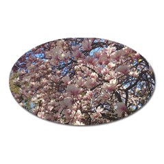 Sakura Magnet (oval) by DmitrysTravels