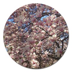 Sakura Magnet 5  (round) by DmitrysTravels