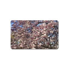 Sakura Magnet (name Card) by DmitrysTravels